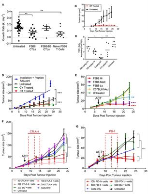 L-Selectin Enhanced T Cells Improve the Efficacy of Cancer Immunotherapy